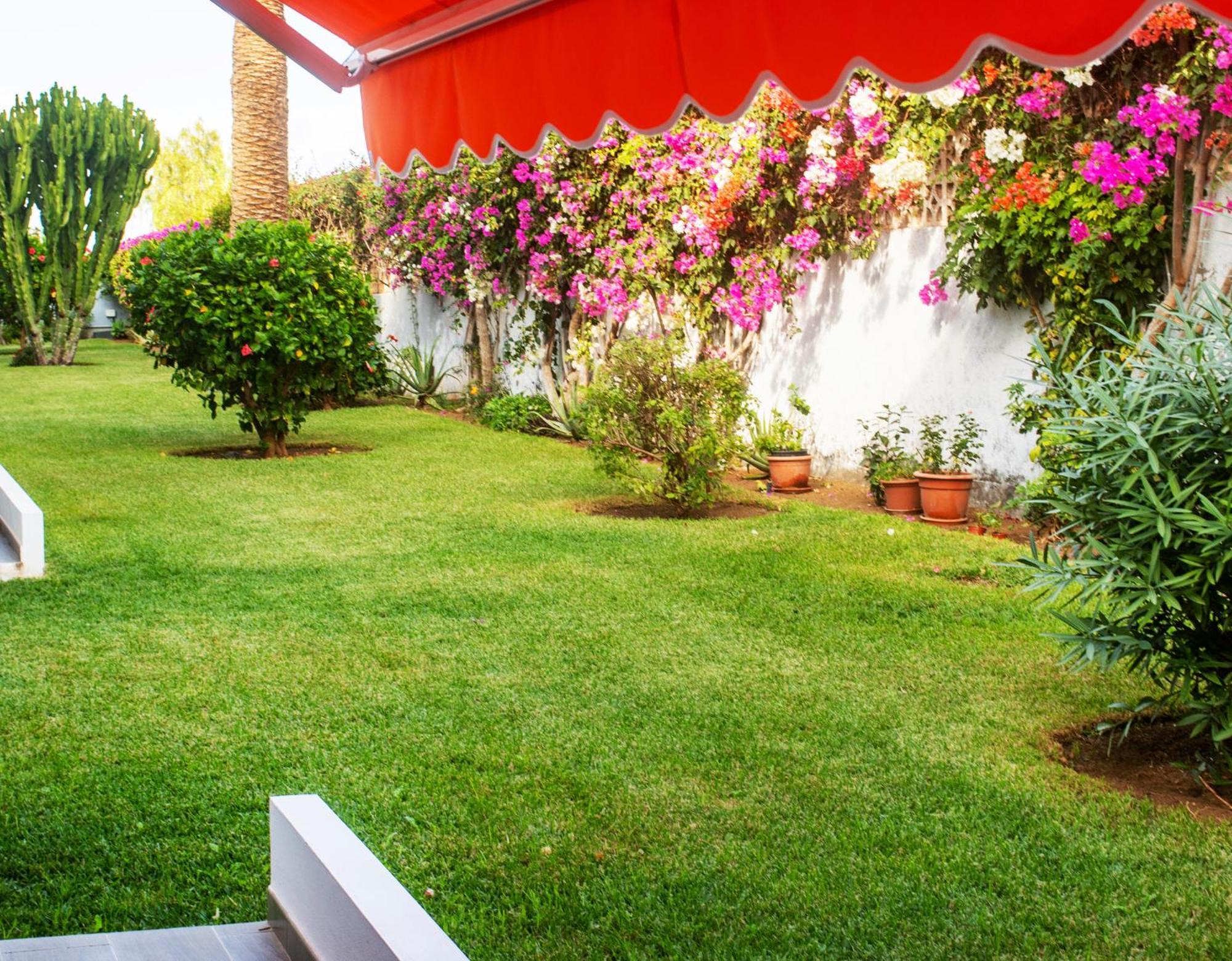 Casa Tranquila Apartment Puerto de la Cruz  Ngoại thất bức ảnh